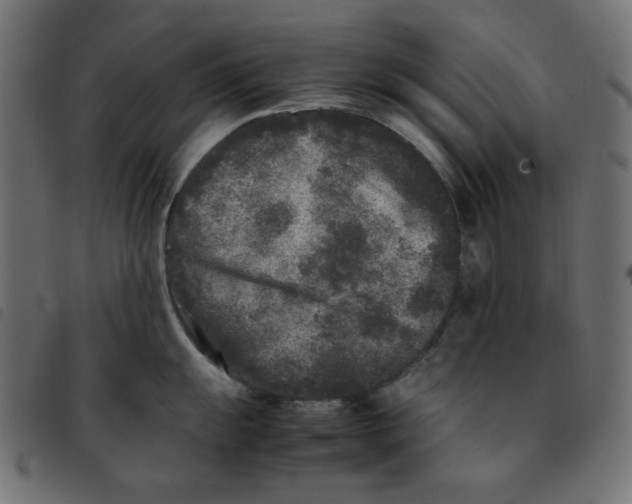 X0000092211055200710121125