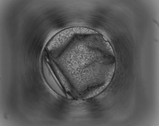 X0000092211056200710121125