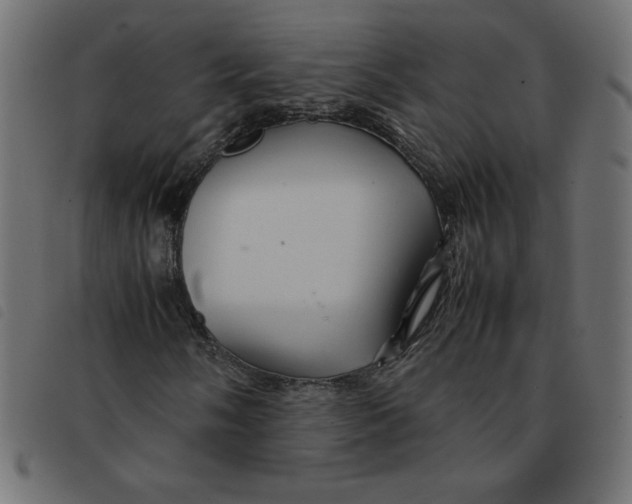 X0000092211058200710121124