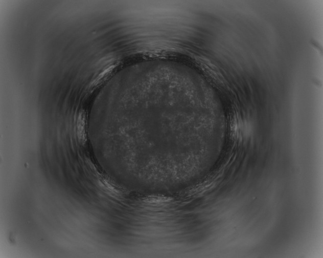 X0000092211060200710121124