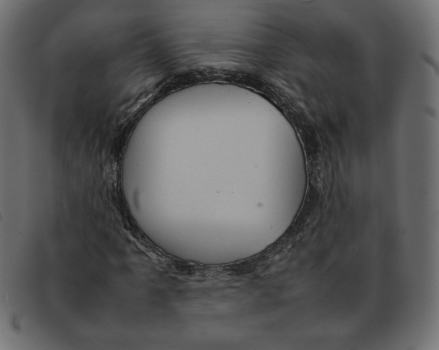 X0000092211061200710121124