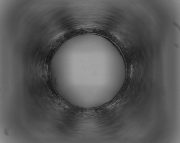 X0000092211062200710121124