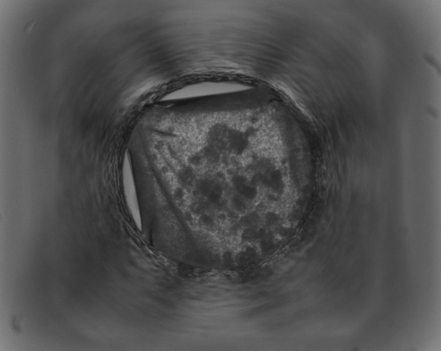 X0000092211063200710121124