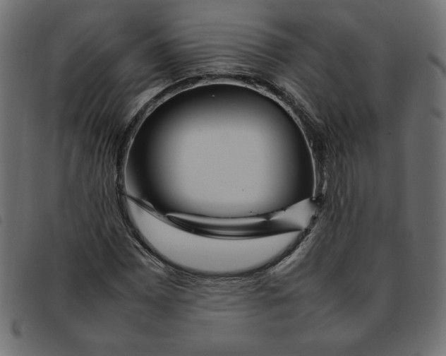X0000092211065200710121124