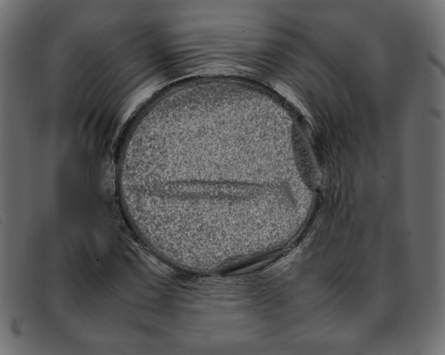 X0000092211067200710121124