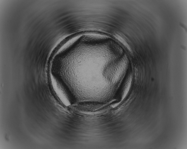 X0000092211068200710121124