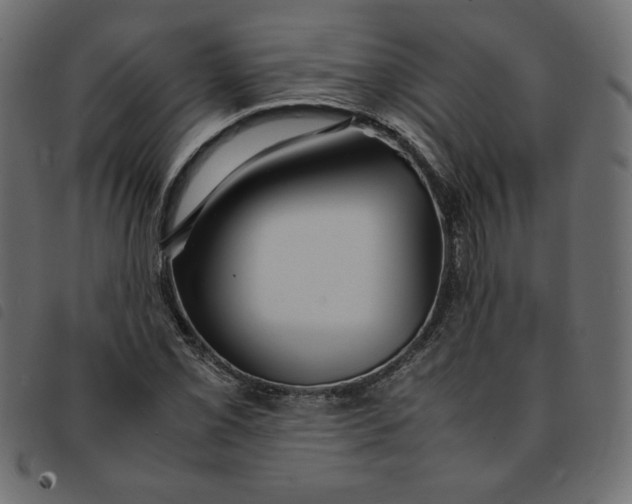 X0000092211069200710121124