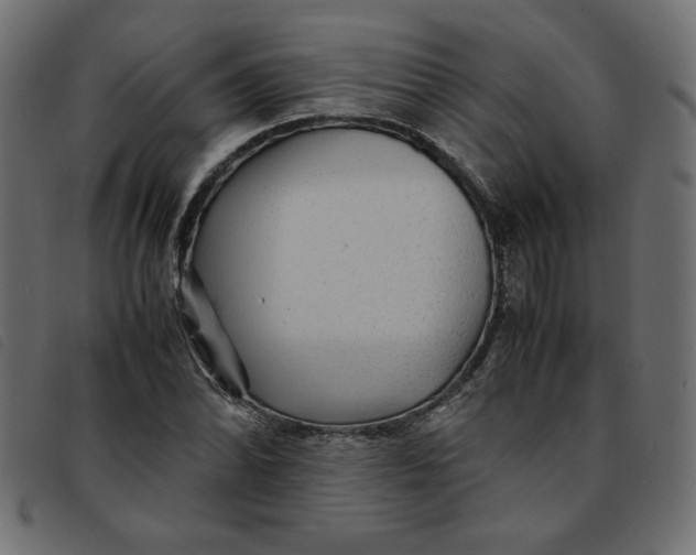 X0000092211070200710121124