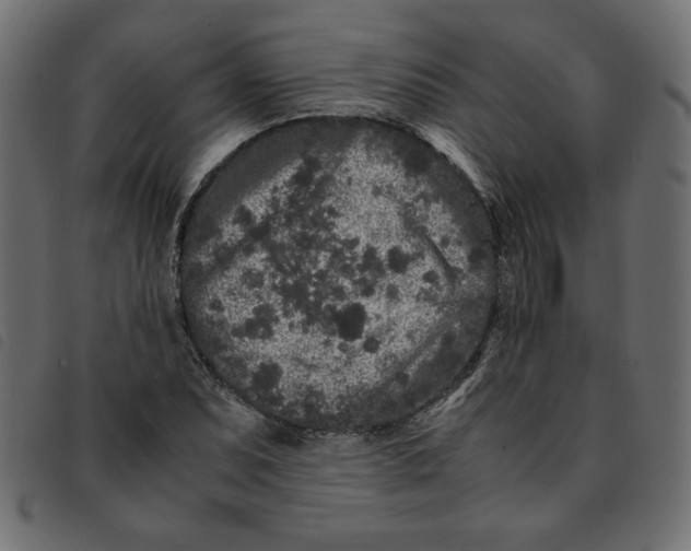 X0000092211071200710121124