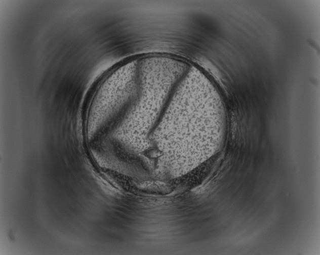 X0000092211072200710121124