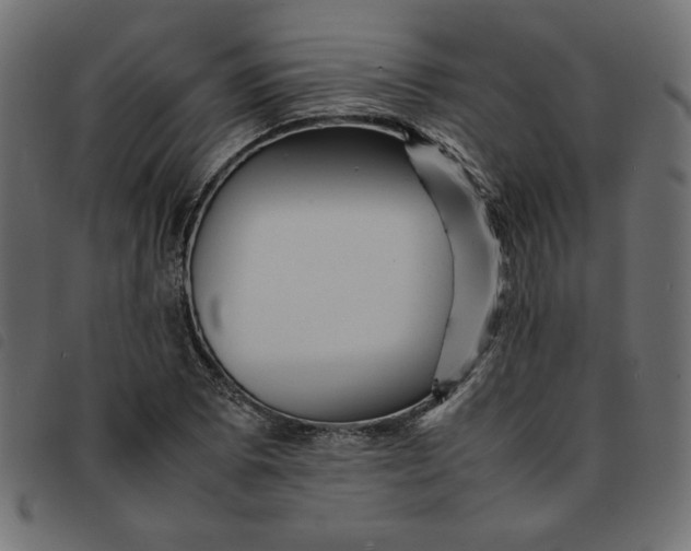 X0000092211073200710121124