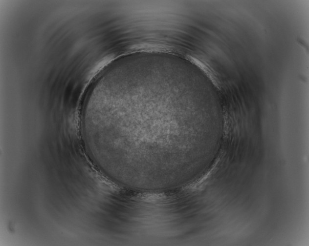X0000092211074200710121124