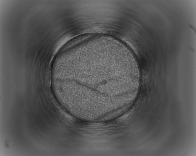 X0000092211075200710121124