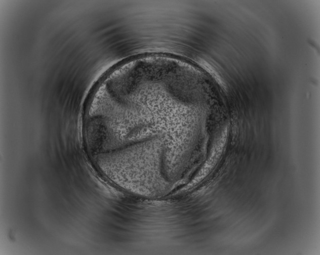 X0000092211076200710121124
