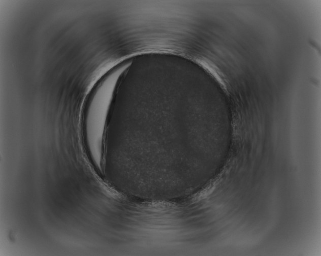 X0000092211077200710121124