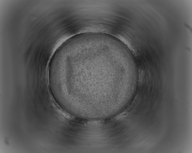 X0000092211078200710121124