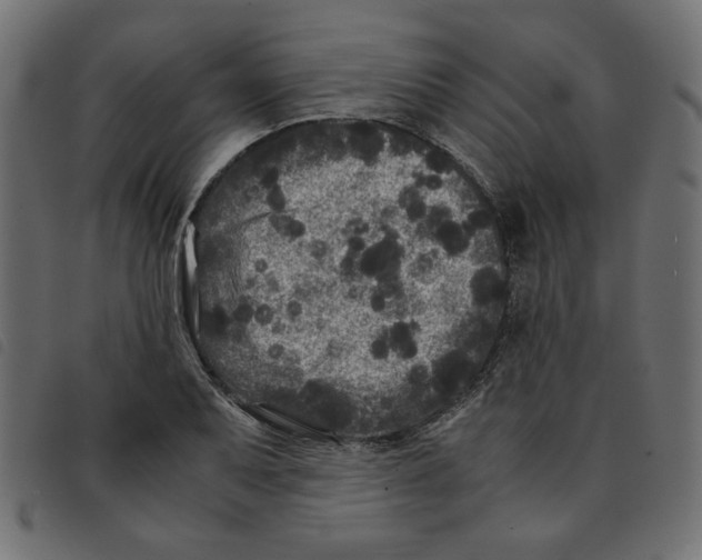 X0000092211079200710121124