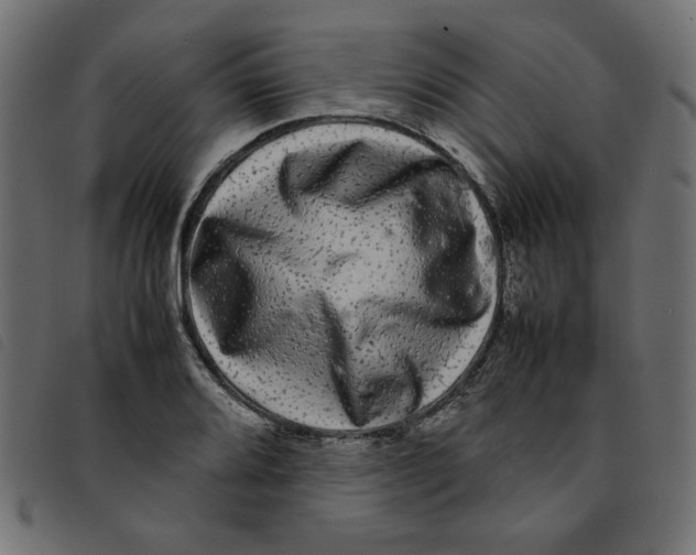 X0000092211080200710121124