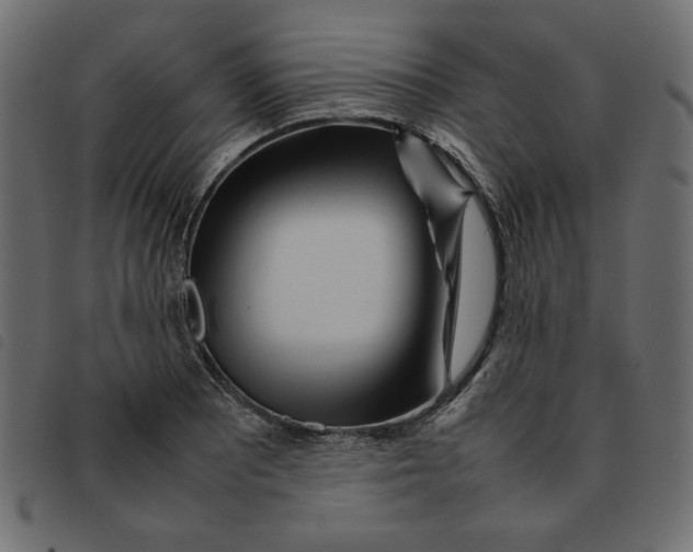 X0000092211081200710121124