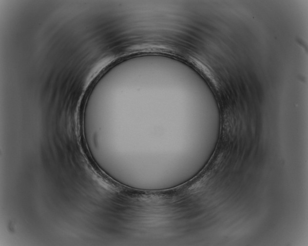 X0000092211082200710121124