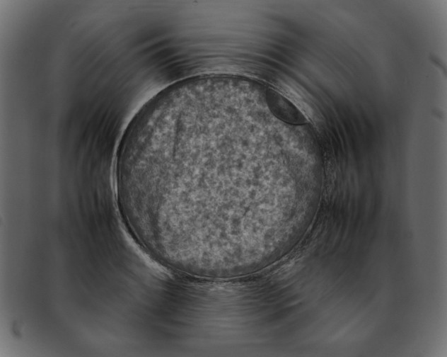 X0000092211084200710121124
