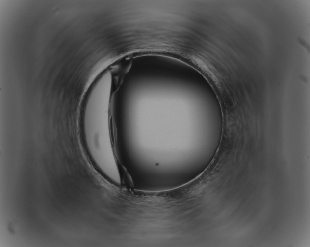 X0000092211085200710121124