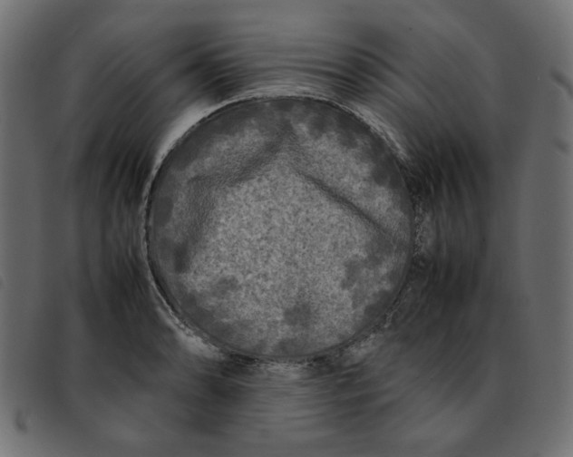X0000092211086200710121124