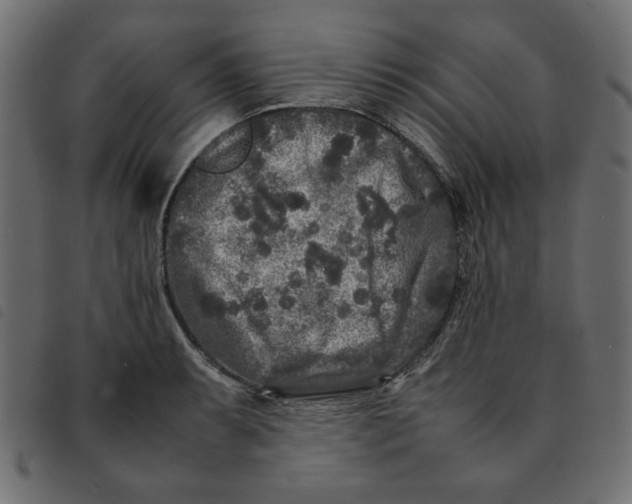 X0000092211087200710121124