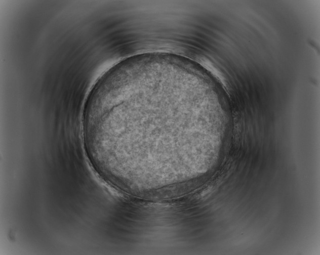 X0000092211088200710121124