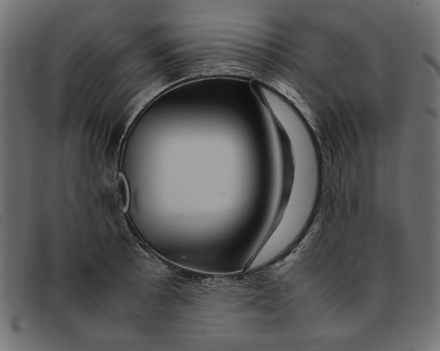 X0000092211089200710121124
