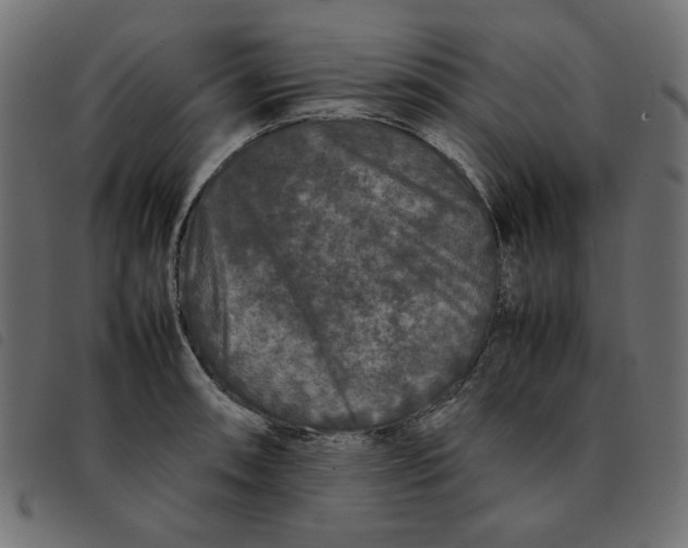 X0000092211090200710121124