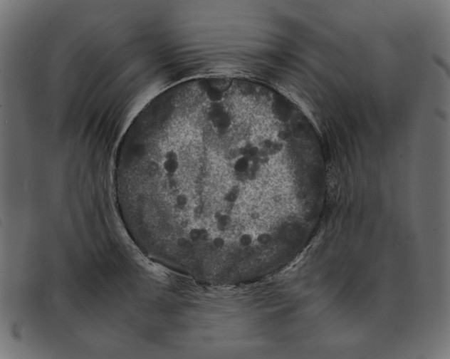 X0000092211091200710121124