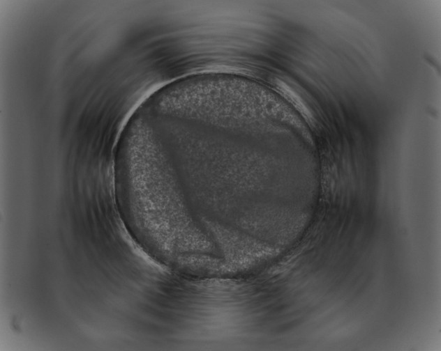 X0000092211092200710121124