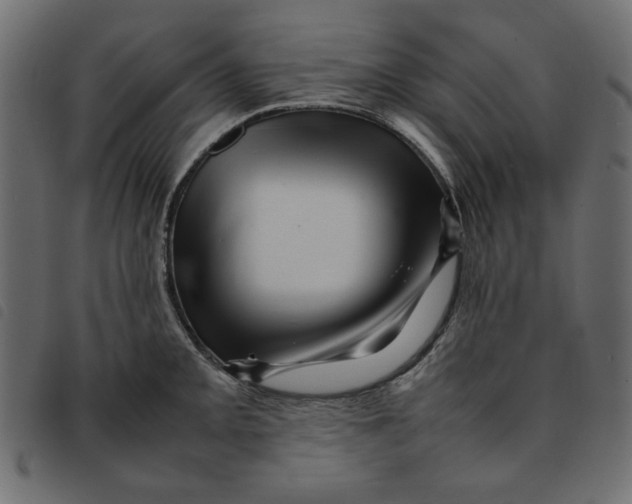 X0000092211093200710121124