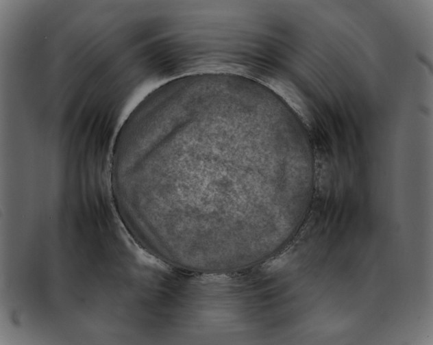 X0000092211094200710121124