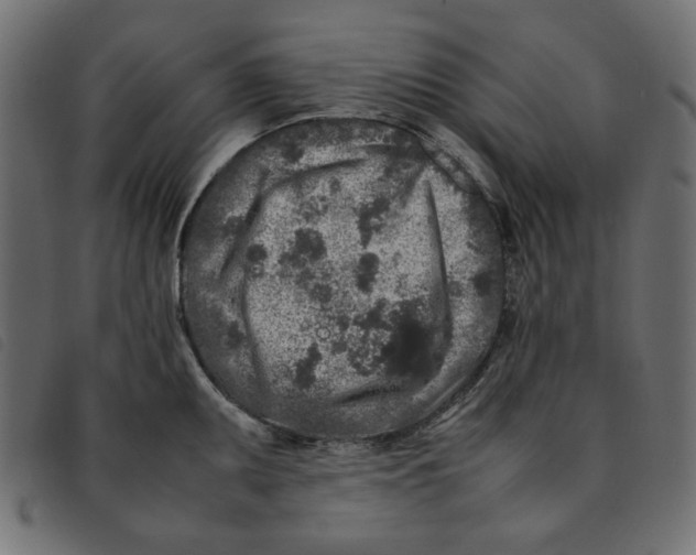 X0000092211095200710121124