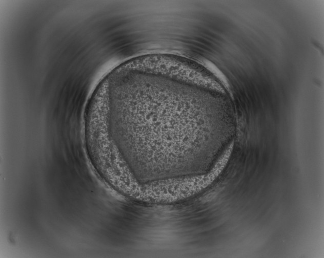 X0000092211096200710121124