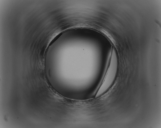 X0000092211097200710121124