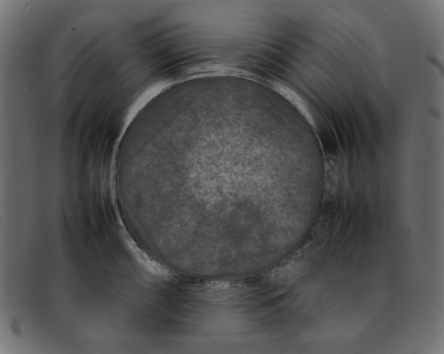 X0000092211098200710121124