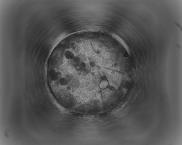 X0000092211099200710121124