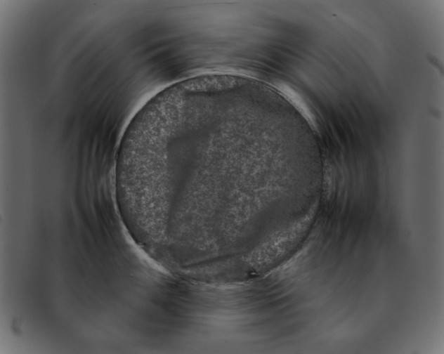 X0000092211100200710121124