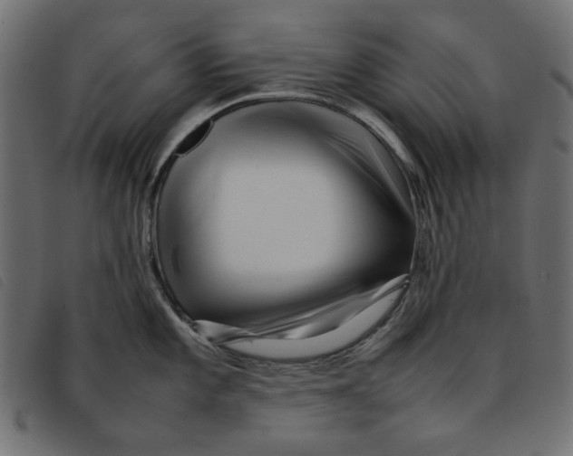 X0000092211101200710121124