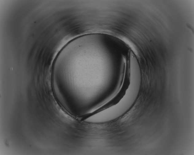 X0000092211102200710121124