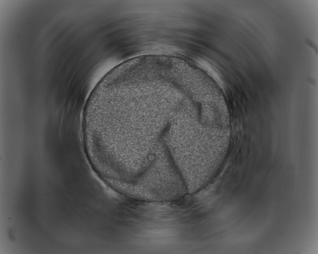 X0000092211103200710121124