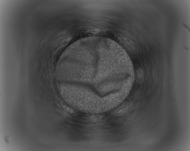 X0000092211105200710121123