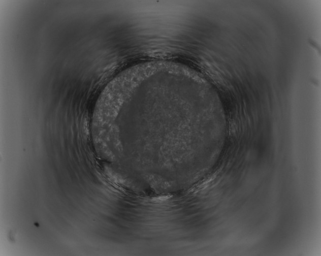 X0000092211106200710121123