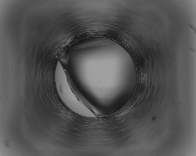 X0000092211108200710121123