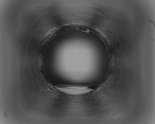 X0000092211110200710121123