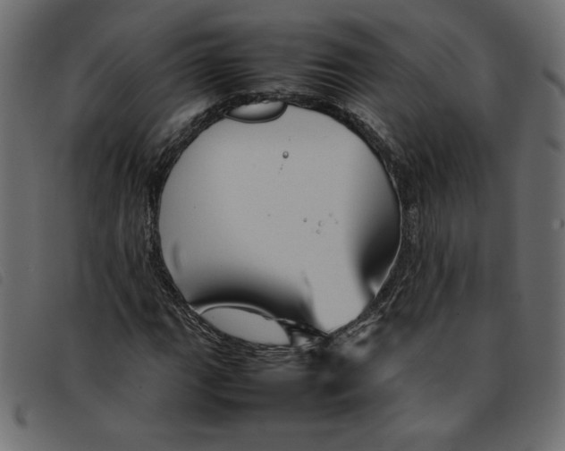 X0000092211111200710121123