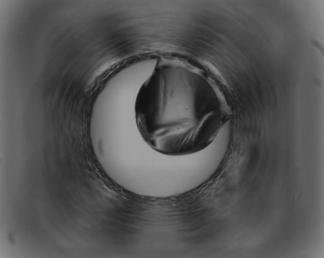 X0000092211112200710121123